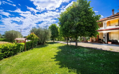 Gli Ulivi: Bleu, Lot Terre, Pelouse, Jardin, Biens, Ferme, Ombre, Cour, Aménagement Paysager, Hacienda