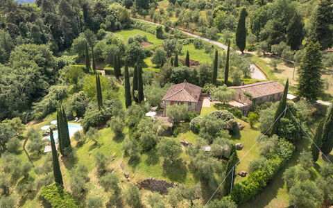 La Sorgente: Environnement Naturel, Végétation, Arbuste, Paysage, Communauté Des Plantes, Lot Terre, Zone Rurale, Couverture De Sol, Forêt, Station De Montagne
