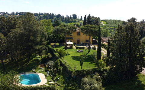 Villa Quintino: Arbuste, Jardin, Domicile, Biens, Chalet, Aménagement Paysager, Pelouse, Hacienda, Piscine, Arrière-Cour