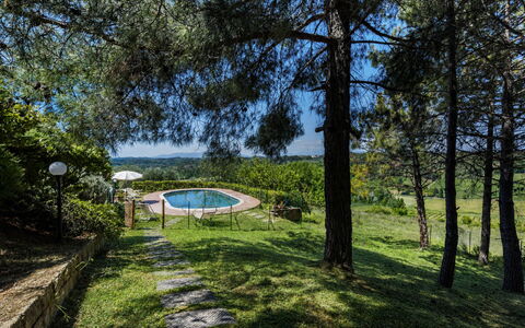 Villa Quintino: Bleu, Ombre, Aménagement Paysager, Parc, Piscine