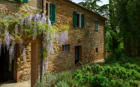 Villa the Horses: Arbuste, Jardin, Brique, Mur De Pierre