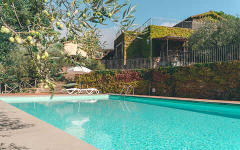 House in the Woods, Pool and Relax in Umbria: Piscine, Recours, Eco Hôtel, Hacienda, Biens, Villa, Ombre, Jardin, Arrière-Cour, Aménagement Paysager