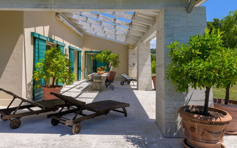 La Sorgente: Mobilier De Jardin, Pot De Fleur, Ombre, Meubles, Chaise, Structure En Plein Air, Plante D'Appartement, Patio, Jardin, Porche