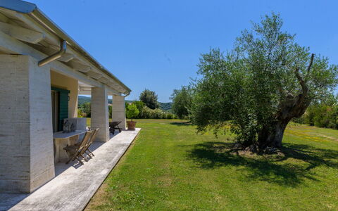La Sorgente: Arbuste, Domicile, Lot Terre, Jardin, Couverture De Sol, Aménagement Paysager, Ombre, Biens, Chalet