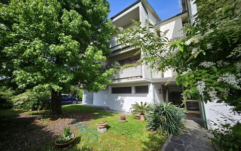 Alle Gardenie: Arbuste, Zone Résidentielle, Domicile, Jardin, Biens, Cour, Ombre, Aménagement Paysager, Allée, Arrière-Cour