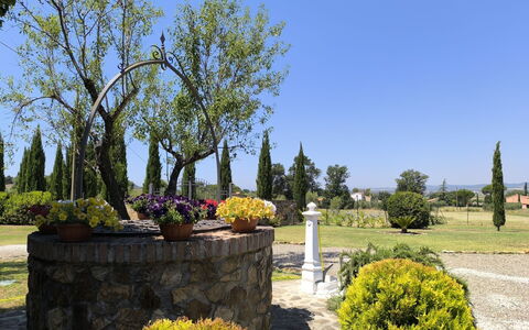 Scarlino 35: Ciel, Arbre, Arbuste, Paysage, Jardin, Printemps, Suppression Des Plantes Ligneuses, Aménagement Paysager, Parc