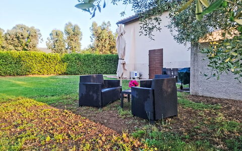 Scarlino 35: Herbe, Feuille, Arbuste, Jardin, Lot Terre, Pelouse, Ombre, Lumière Du Soleil, Arrière-Cour, Aménagement Paysager