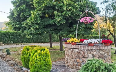 Logement:&nbsp;Olivo 35.1