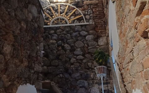 Nido nel Centro: Mur, Escaliers, Mur De Pierre, Balustrade, Plante D'Appartement, Balcon, Balustre, Pot De Fleur
