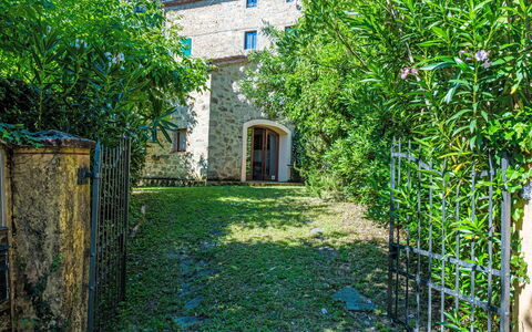 Fibbialla: Arbuste, Jardin, Arrière-Cour, Cour
