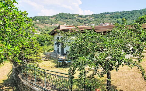 La Casa di Menny: Meubles, Mobilier De Jardin, Chaise, Jardin, Tache De Bois, Pelouse, Dur, Ombre, Arrière-Cour