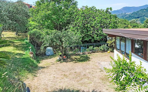 La Casa di Menny: Meubles, Mobilier De Jardin, Chaise, Jardin, Tache De Bois, Pelouse, Dur, Ombre, Arrière-Cour