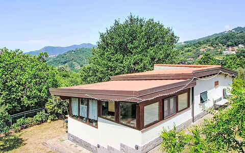 La Casa di Menny: Meubles, Mobilier De Jardin, Chaise, Jardin, Tache De Bois, Pelouse, Dur, Ombre, Arrière-Cour