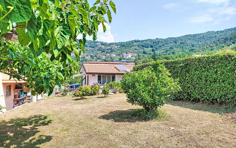 Ricordi: Meubles, Design Intérieur, Sol, Sol, Parquet, Bois, Chaise, Plafond, Table Cuisine Et Salle A Manger, Table