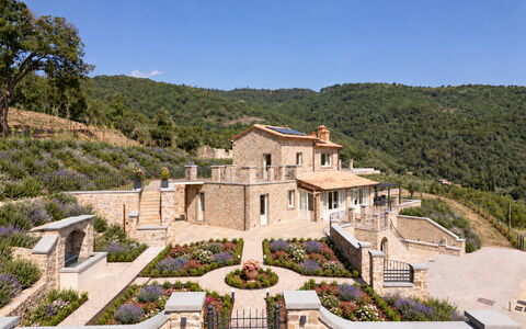 Villa Maddalena alla Guglielmesca: Arbuste, Biens, Jardin, Aménagement Paysager, Chalet, Ferme, Villa, Manoir, Village, Hacienda