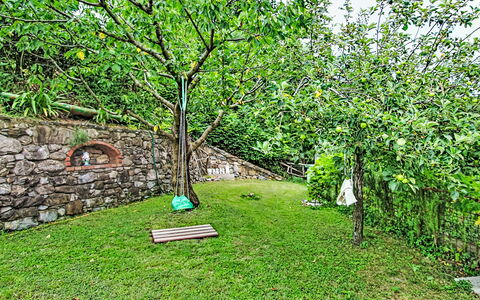 Cà Olivella: Meubles, Table Cuisine Et Salle A Manger, Chaise, Sol, Mer, Balcon, Océan, Recours, Eco Hôtel, Salle À Manger