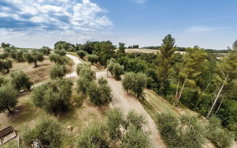 Villa Larino: Arbre, Végétation, Paysage Naturel, Communauté Des Plantes, Lot Terre, Plaine, Piste, Champ, Sol