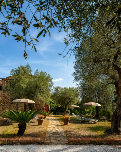 Casale delle Lupe, Campiglia Marittima: Jardin, Biens, Hacienda, Aménagement Paysager, Ferme, Cour, Villa, Ombre, Arrière-Cour, Allée