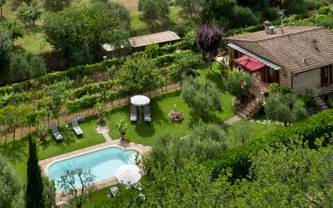 Villa Sorripa 6: Arbuste, Jardin, Chalet, Arrière-Cour, Biens, Aménagement Paysager, Ferme, Plantation, Cour, Pelouse