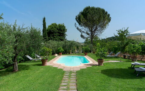 Villa Sorripa 6: Piscine, Mobilier De Jardin, Jardin, Recours, Arrière-Cour, Pelouse, Hacienda, Biens, Eco Hôtel, Aménagement Paysager