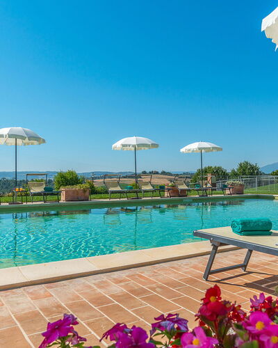 Poderina dei Poggi 12: Piscine, Recours, Ville Resort, Plantation, Agriculture, Eco Hôtel, Stock Photographie