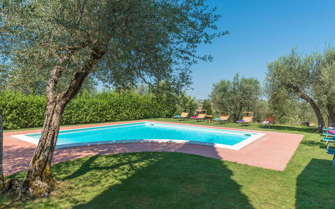 Casa Torrione 14: Hacienda, Biens, Pelouse, Ferme, Villa, Piscine, Arrière-Cour