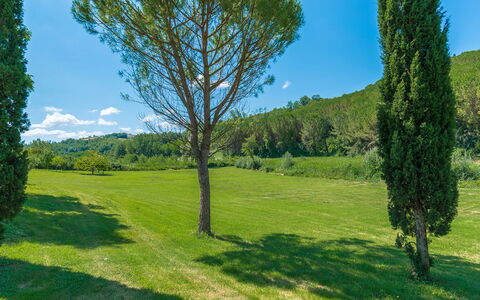 La Casa Dell'Artista 6: Vert, Feuille, Herbe, Environnement Naturel, La Nature, Végétation, Paysage Naturel, Prairie, Arbuste, Paysage
