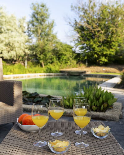 Villa Ninfeo 10+4: Piscine, Mobilier De Jardin, Meubles, Jardin, Chaise, Balancelle, Tableau De Plein Air, Recours, Aménagement Paysager, Ombre