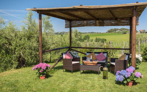 Poggio Vistabella 10: Jardin, Meubles, Belvédère, Pavillon, Mobilier De Jardin, Structure En Plein Air, Ombre, Pergola, Arrière-Cour
