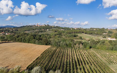 Villa Gabri 8: Zone Rurale, Paysage, Champ, Agriculture, Lot Terre, Plaine, Plantation, Station De Montagne, Prairie, Ferme