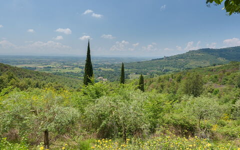 Le Volpaie 6+1: Environnement Naturel, Feuille, Végétation, Paysage Naturel, Colline, Écorégion, Arbuste, Communauté Des Plantes, Montagnes, Paysage