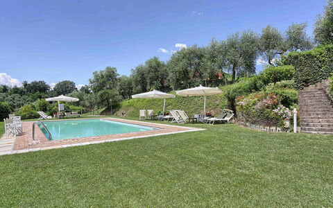 Germagnana 12+2: Arbuste, Jardin, Couverture De Sol, Biens, Pelouse, Plantation, Ferme, Aménagement Paysager, Villa, Hacienda