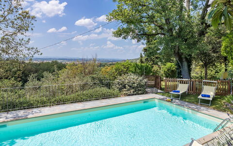 I Mandorli 8: Bleu, Piscine, Jardin, Ombre, Hacienda, Eco Hôtel, Biens, Arrière-Cour, Villa, Aménagement Paysager