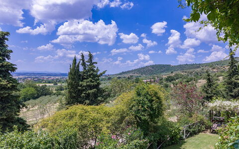 I Mandorli 8: Arbre, La Nature, Feuille, Végétation, Arbuste, Paysage, Communauté Des Plantes, Colline, Montagnes, Station De Montagne