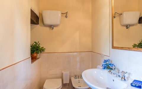 Amantino 8: Salle De Bains, Lavabo, Mur, Luminaire Plomberie, Sol, Évier, Sol, Robinet, Design Intérieur, Plomberie