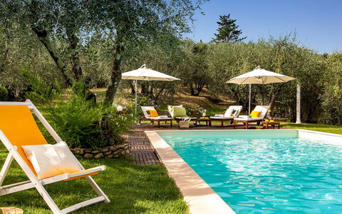 Villa Il Colle di Moriano 8: Meubles, Mobilier De Jardin, Piscine, Recours, Balancelle, Chaise, Eco Hôtel, Ombre, Jardin, Arrière-Cour