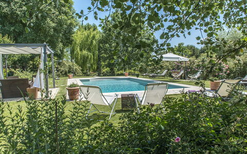 Albachiara 8: Arbuste, Mobilier De Jardin, Piscine, Jardin, Ombre, Aménagement Paysager, Arrière-Cour, Loisir, Chaise, Recours