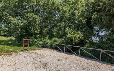 Il Colle di Donna Ilaria 12: Arbre, Feuille, Branche, Suppression Des Plantes Ligneuses, Piste, Des Bois, Sol, Parc, Clôture, Chemin