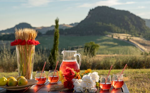 Il Poggiarellone 14: Vaisselle, Aliments, Drinkware, Serveware, Ingrédient, Bar, Verres À Pied