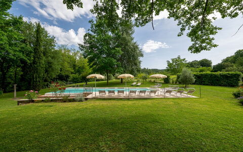 Il Molinaccio 14+2: Arbre, Piscine, Jardin, Recours, Mobilier De Jardin, Ombre, Pelouse, Parc, Aménagement Paysager, Eco Hôtel