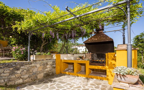 Le Querce dei Medici 12+2: Jardin, Ombre, Pot De Fleur, Hacienda, Arrière-Cour, Aménagement Paysager, Cour, Structure En Plein Air, Eco Hôtel, Plante D'Appartement