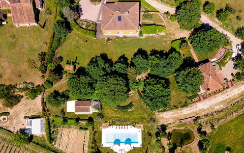 Le Querce dei Medici 12+2: Arbre, Maison, Zone Résidentielle, Paysage, Lot Terre, Zone Rurale, Domicile, Plaine, Établissements Humains, Biens