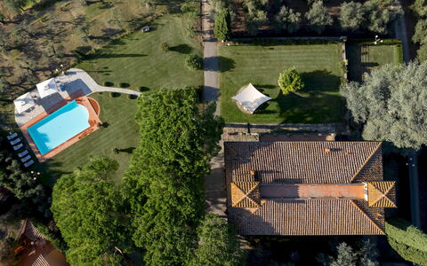 Villa Beltrami 14: Arbre, Paysage, Zone Résidentielle, Biens, Lot Terre, Jardin, Piscine, Pelouse, Aménagement Paysager, Hacienda