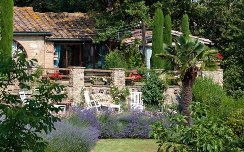 Borgo Paradiso 4+2: Arbuste, Jardin, Arrière-Cour, Printemps, Couverture De Sol, Aménagement Paysager, Chalet, Cour, Pot De Fleur