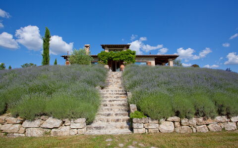 Casale delle Lavande 10: Arbuste, Communauté Des Plantes, Lot Terre, Jardin, Prairie, Plantation, Formations Arbustives, Aménagement Paysager, Lavande