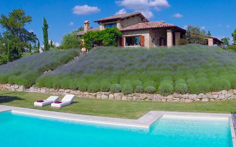 Casale delle Lavande 10: Arbuste, Jardin, Aménagement Paysager, Piscine, À Feuilles Persistantes, Arrière-Cour, Cour, Plantation, Recours