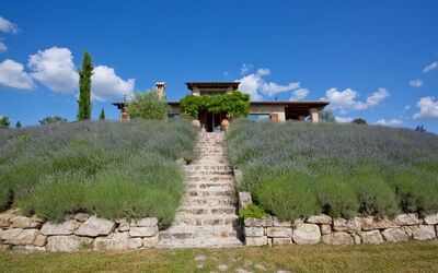 Casale delle Lavande 10