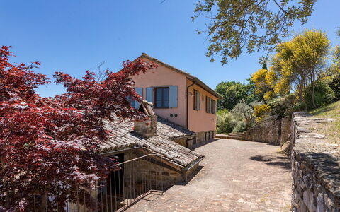 Dalmanuta 8: Mur, Arbre, Maison, Zone Rurale, Domicile, Établissements Humains, Chalet, Pente, Village, Clôture