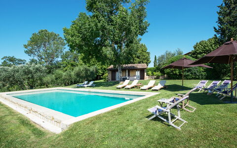 Podere Gragnano 12: Arbre, Maison, Domicile, Lot Terre, Biens, Ferme, Chalet, Jardin, Pelouse, Piscine
