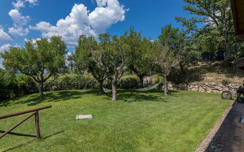 Il Casale del Nonno 8+2: Arbre, Paysage, Arbuste, Lot Terre, Plaine, Jardin, Pelouse, Prairie, Ombre
